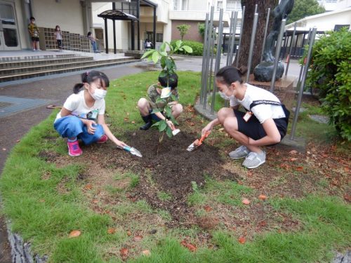 堺市立東百舌鳥小学校　レモン植樹祭