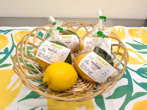 泉北レモン®の商品 | 泉北レモンの街ストーリー